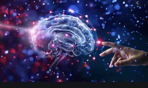 Alzheimer Dementia：认知年龄，而非生理年龄，更能预测大脑健康
