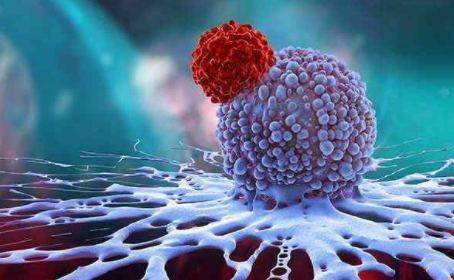 Nat Commun：肠道微生物代谢物短链脂肪酸改善癌症的过继免疫疗法