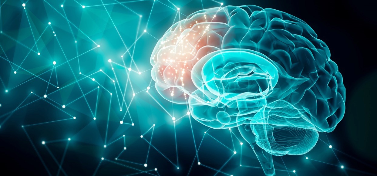 Ann Neurol-哈佛大学发现：脑震荡，会导致脑血管调节机制改变