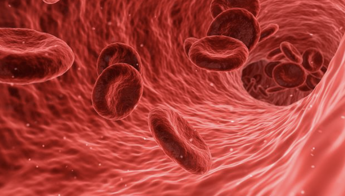 血脂异常基层健康管理规范，强调生活方式<font color="red">全面</font>干预！