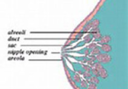 Cancers：保乳治疗较全乳切除术改善I-IIA期乳腺癌患者的预后