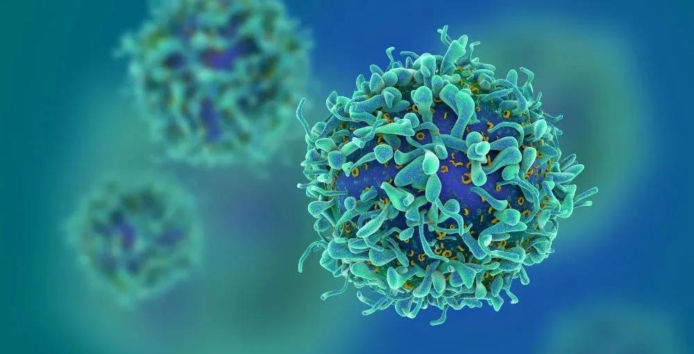 NEJM：CAR-T细胞疗法首次成功治疗红斑狼疮