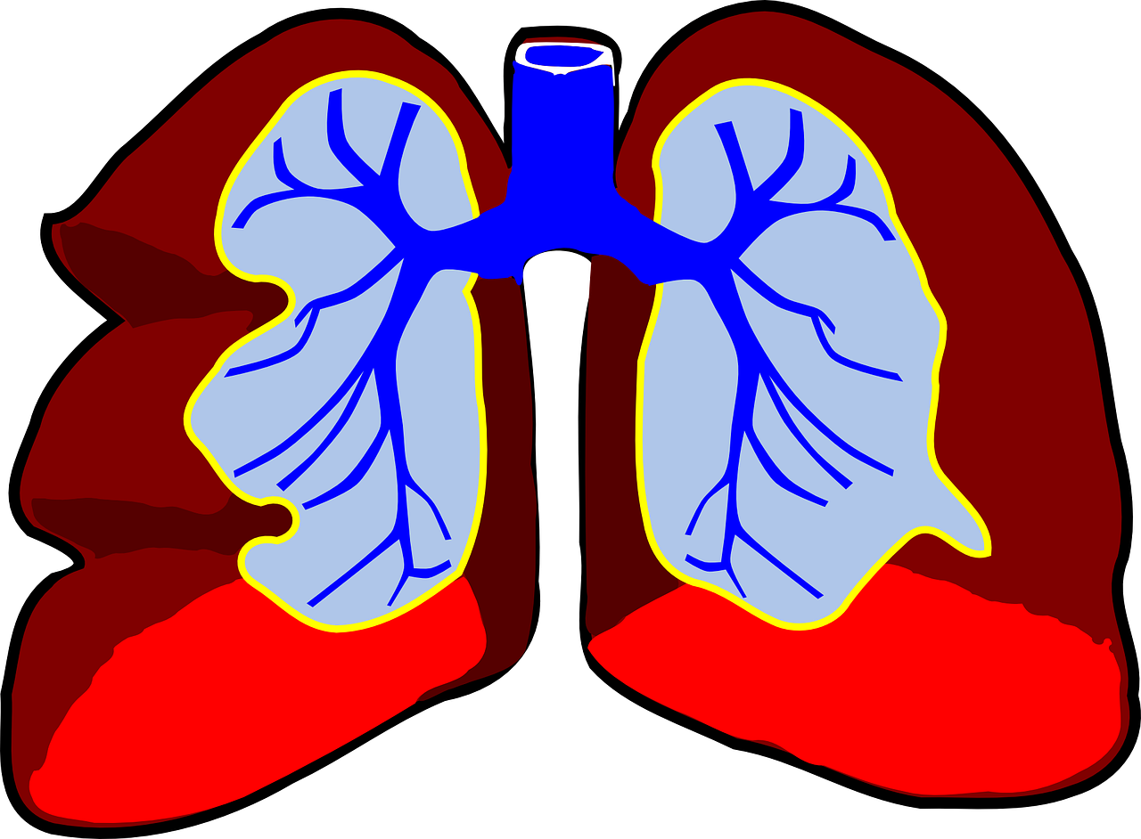 总结：实用肺功能检查注意事项
