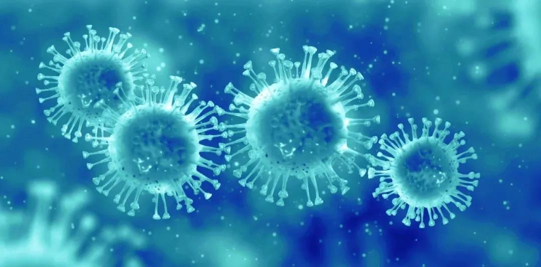 Science：中山大学舒跃龙团队破解H7N9禽流感<font color="red">感染</font>之谜
