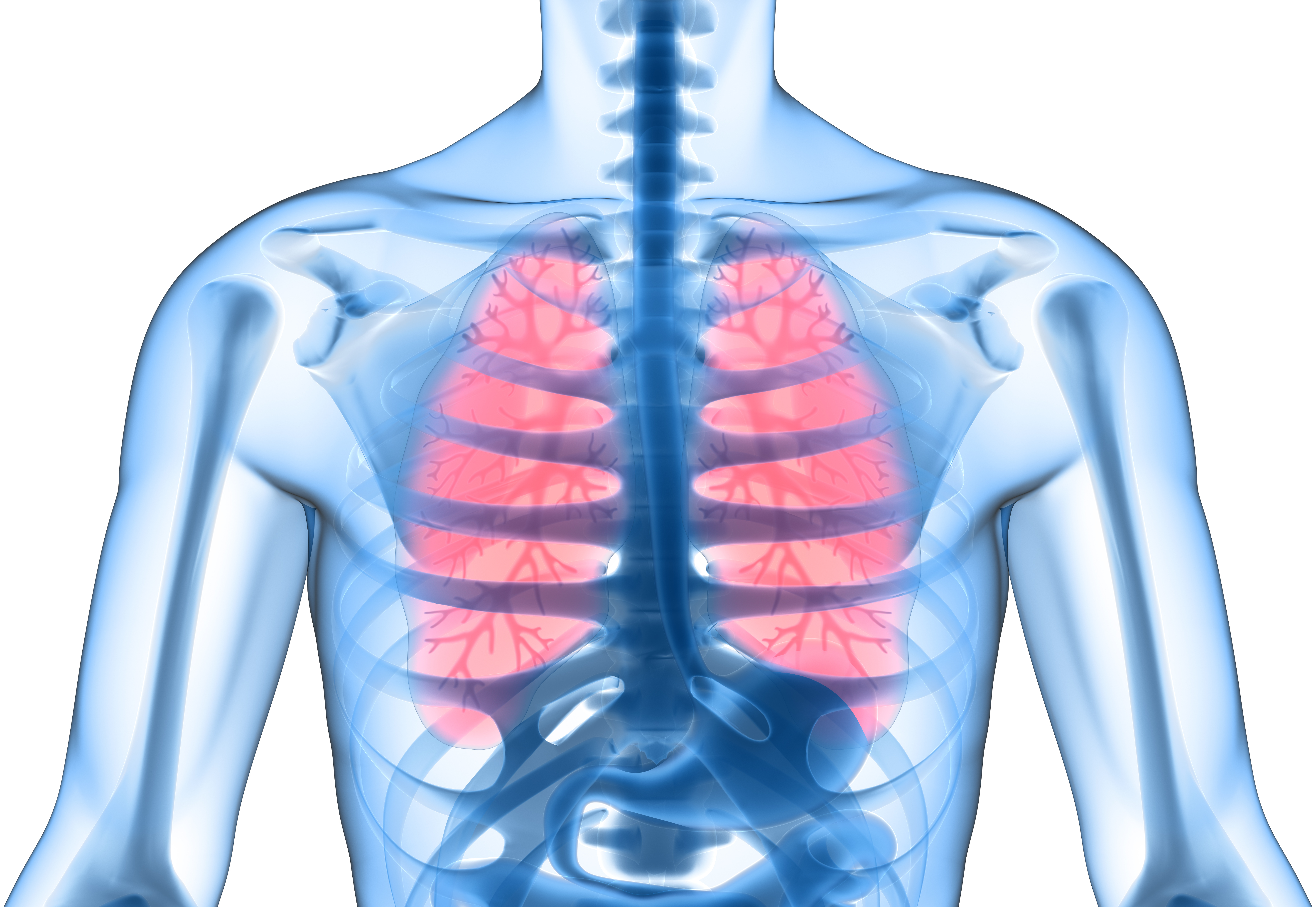 Respirology：治疗慢性支气管感染可减少COPD<font color="red">患者</font>的全身炎症和心血管事件的发生