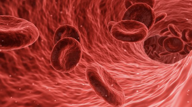 <font color="red">血管</font>导管相关感染预防与控制指南(2021 版)