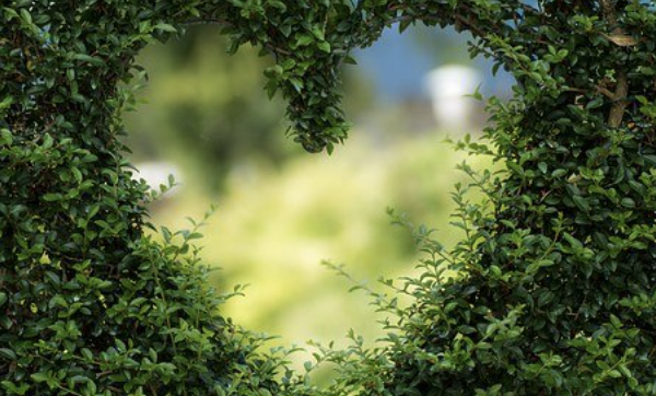 冠心病合理用药指南(第2版)