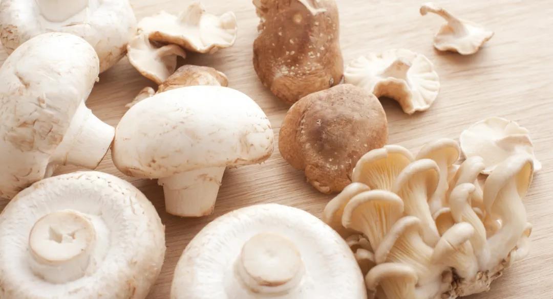 Advances in Nutrition：大规模研究表明：多吃蘑菇与癌症风险降低有关，尤其是乳腺癌