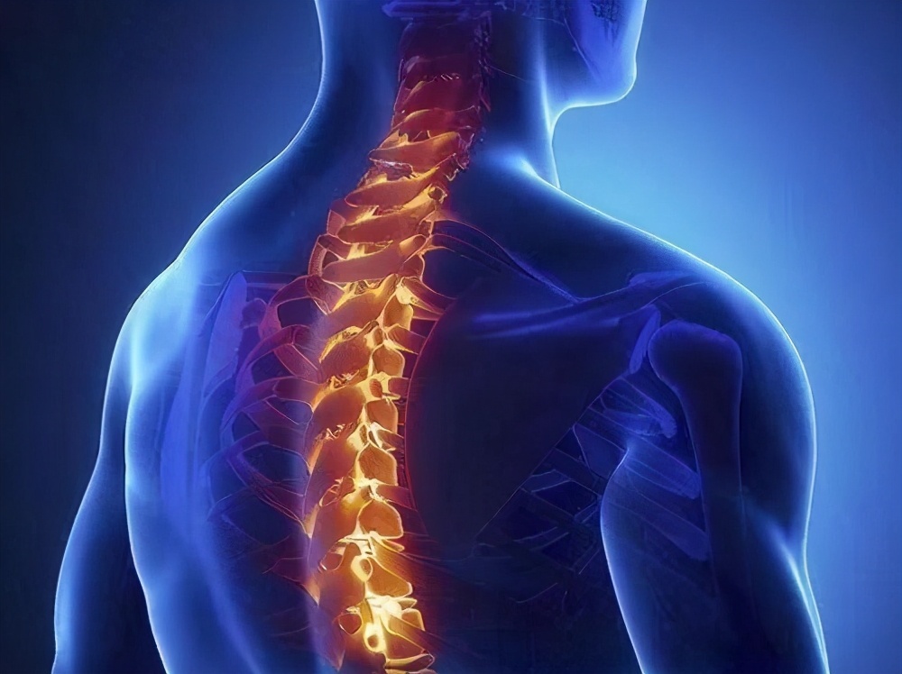 JNNP：脊髓损伤后脊髓灰质和白质的纵向组织变化