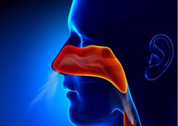 Nat Med：<font color="red">Toripalimab</font>联合吉西他滨-顺铂化疗治疗晚期鼻咽癌的3期临床研究