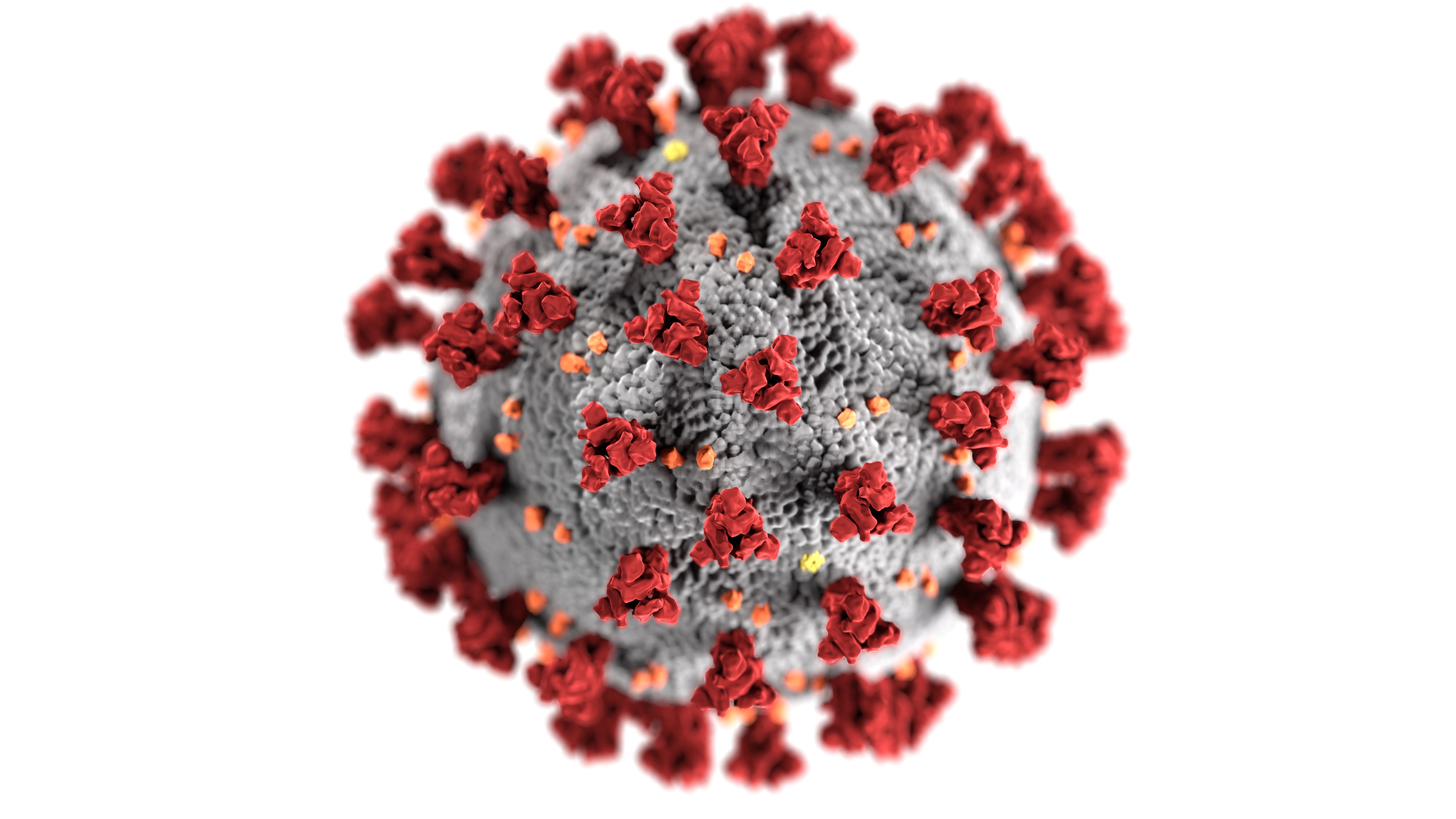 新冠病毒这5大特性，让它几乎<font color="red">不可</font>能被人类消灭！
