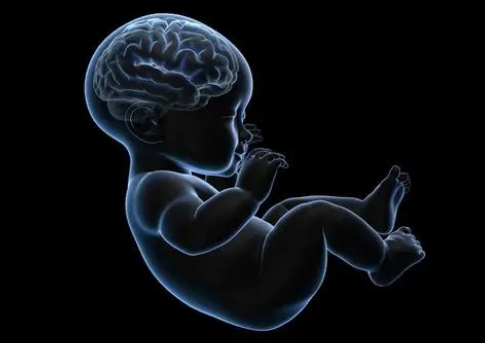 JAMA Netw Open：补充 3 倍标准剂量的维生素D对健康足月婴幼儿神经发育的影响