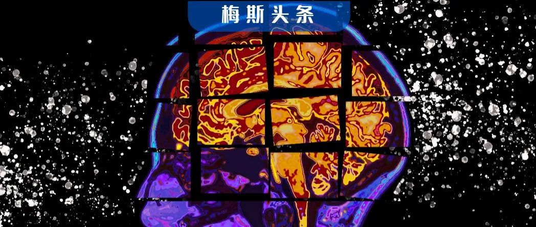 阿爾茲海默病新突破！人體內的脂肪竟成AD患者新福音