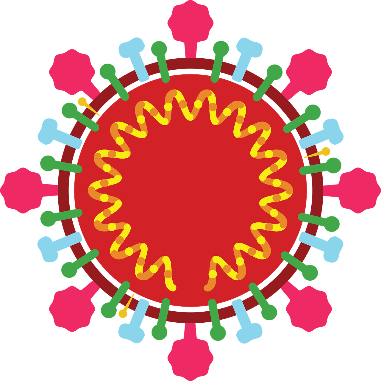 新型冠状病毒感染的肺炎<font color="red">影像</font><font color="red">学</font>诊断指南(2020第一版)