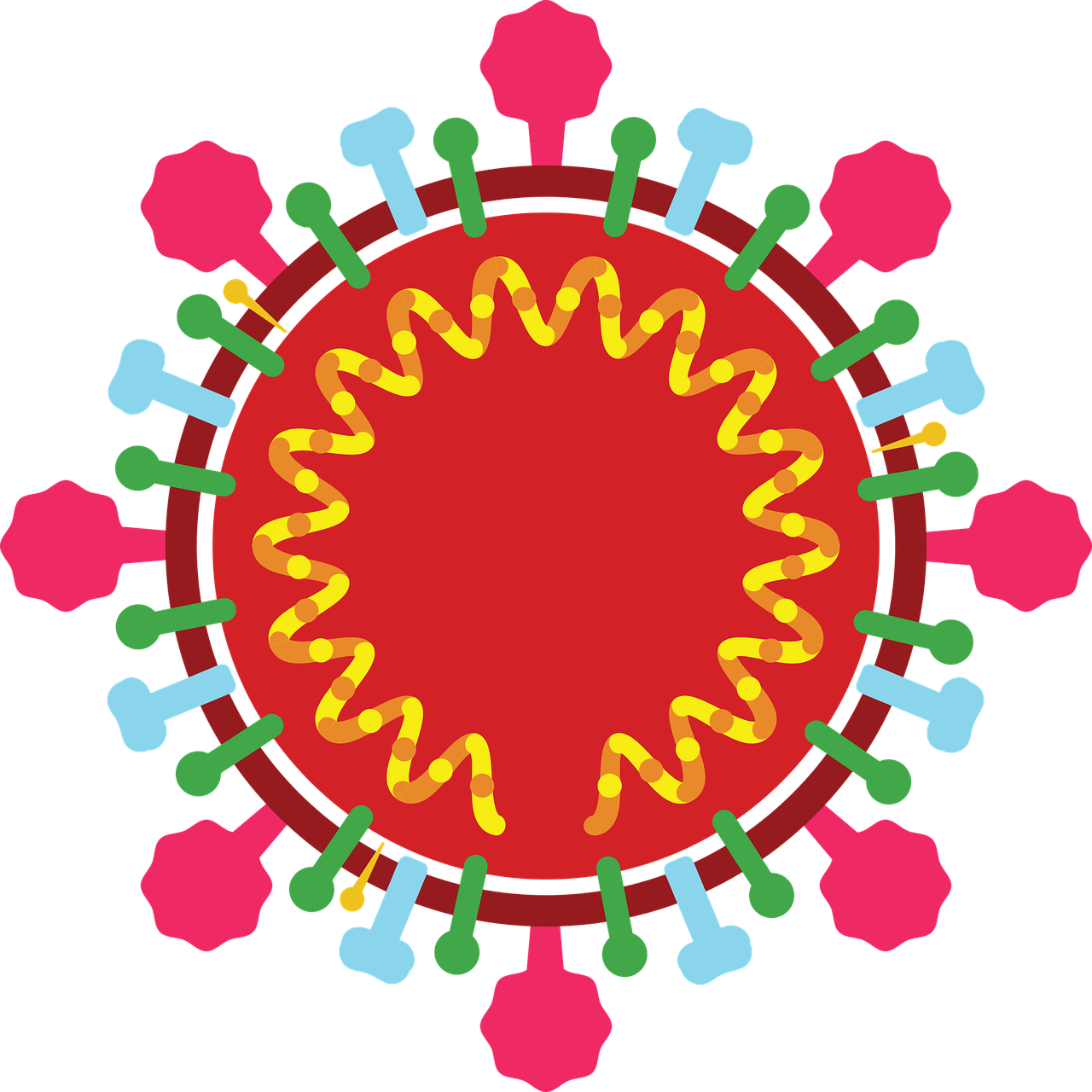 新型冠狀病毒(2019-nCoV)感染的肺炎診療快速建議指南(<font color="red">完整版</font>)