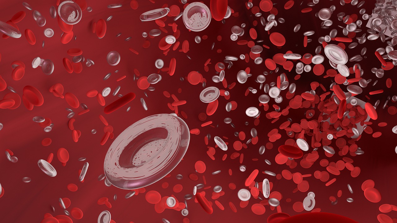 抗中性粒细胞<font color="red">胞</font><font color="red">质</font>抗体相关肾炎诊断和治疗中国指南