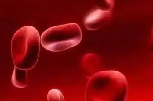 Blood：替格瑞洛预防并不能减少镰状细胞病患儿的血管闭塞危象