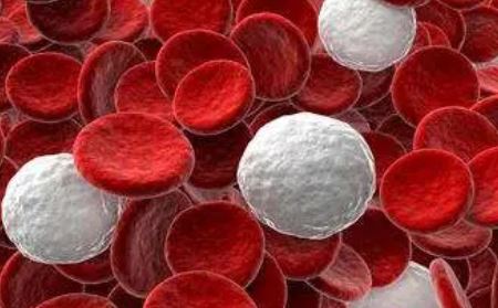 Blood：维持治疗期间的MRD动态有助于提高对预后的预测