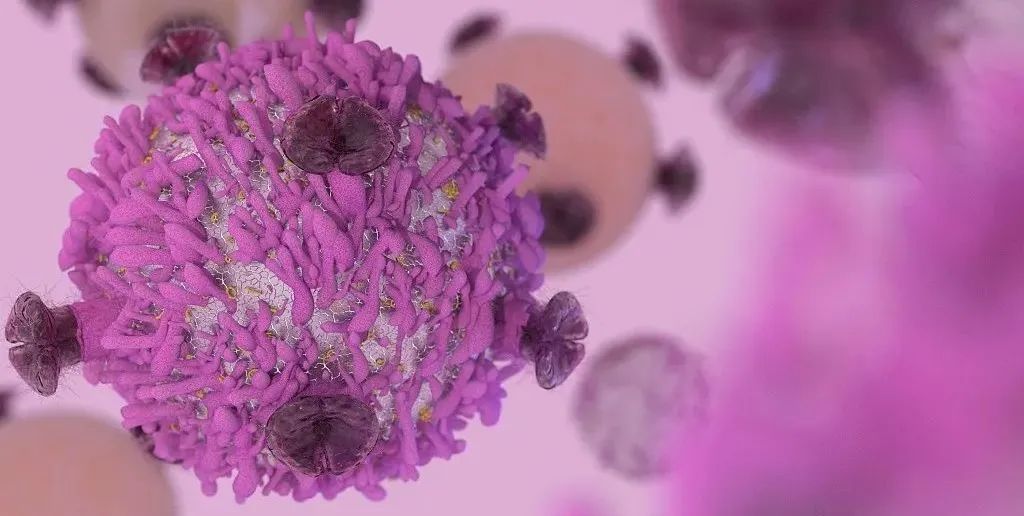 Science Advances：首次证实：表观遗传药物EZH2抑制剂，通过激活免疫系统治疗膀胱癌