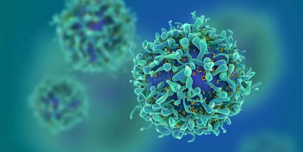 Cancer Cell：王皓毅团队报道BATF缺失可提高CAR-T细胞抗肿瘤活性