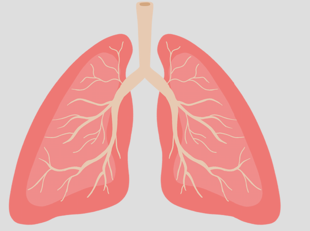  Int J Chron Obstruct Pulmon Dis：降压药ACEI/ARB，可降低COPD合并ARF患者死亡率