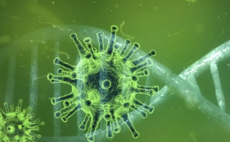 Nat Med：人类主动感染新冠病毒挑战试验，揭开新冠病毒的攻击和<font color="red">传播</font>模式！