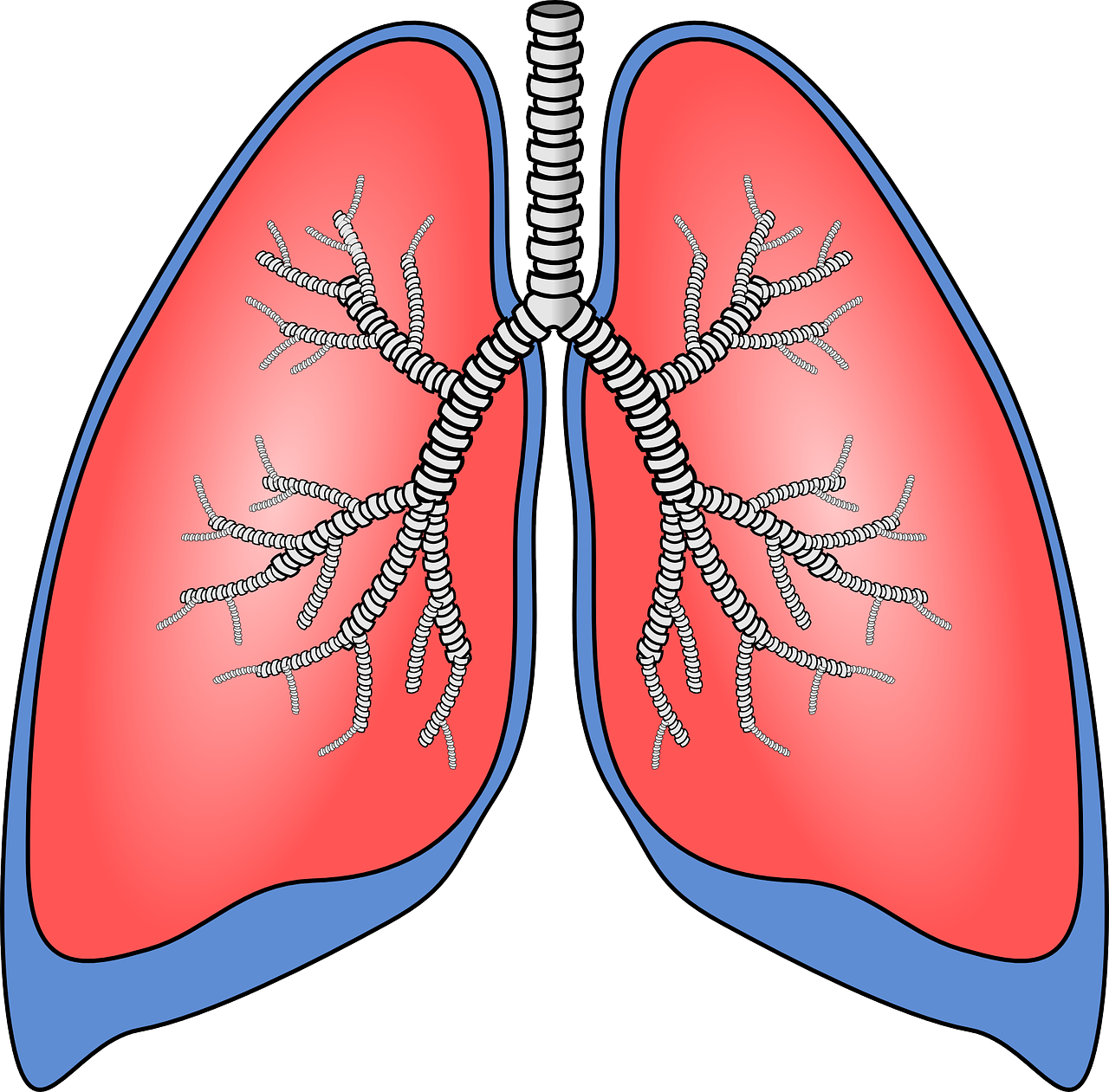 JCR：肺靶向脂质体治疗ARDS