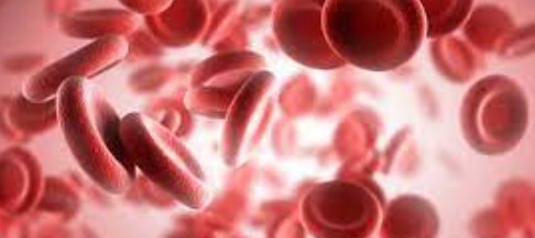Lancet：新型XIa抑制剂asundexian比阿哌<font color="red">沙</font>班在心房颤动患者中更加安全
