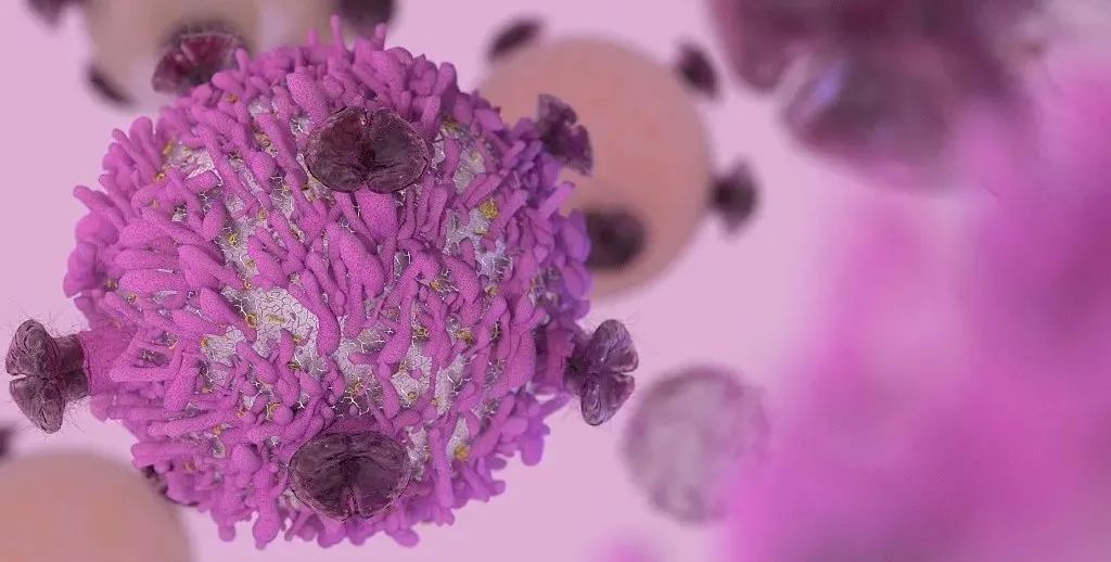 Nature Reviews Drug Discovery：利用NK细胞进行癌症免疫治疗
