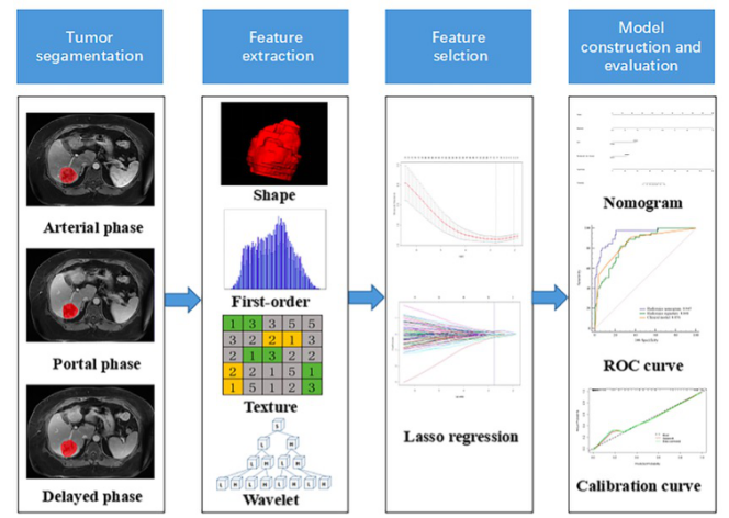 European Radiology：放射学列线图在cHCC-<font color="red">CC</font>和ICC术前鉴别中的应用