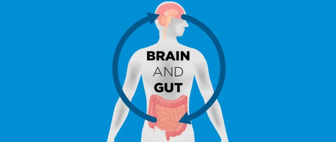 Science：脑肠轴再添力证，肠道菌群可直接与大脑对话，从而调控饮食和体温