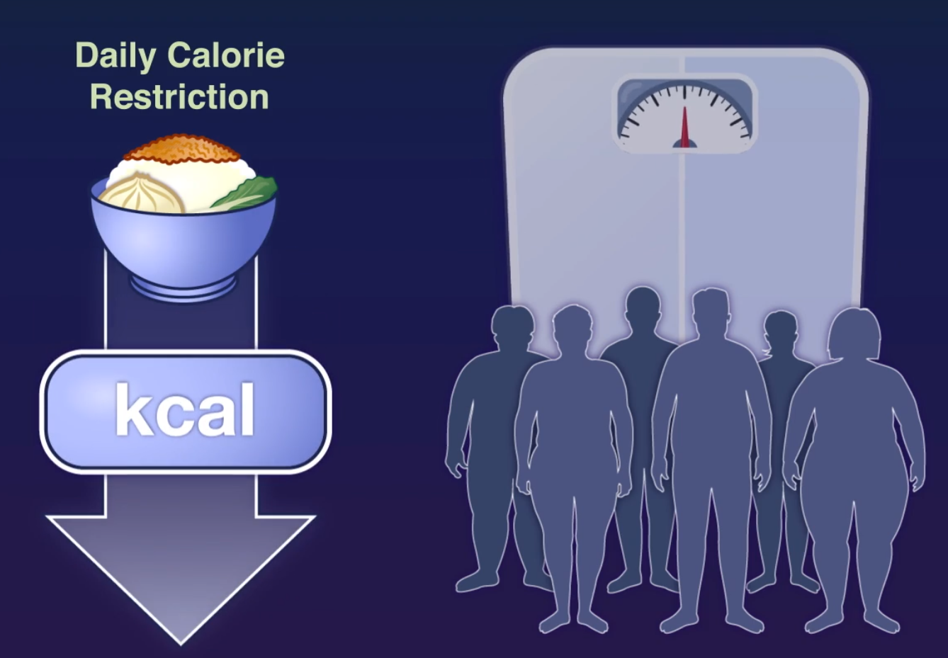 NEJM：限制热量联合限时饮食对减肥的效果分析