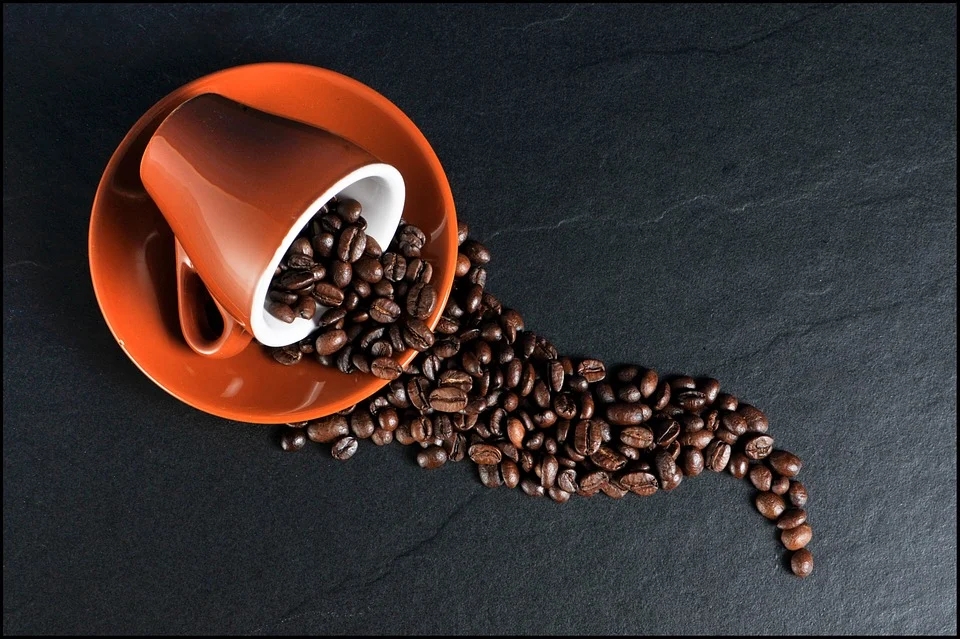 <font color="red">咖啡</font>保护心血管的机制找到了！Nature发文：可清除“坏胆固醇”！