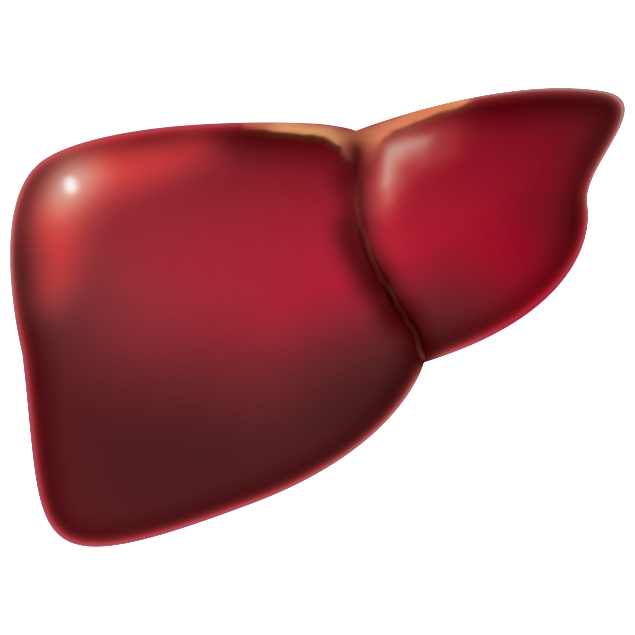 2021 ILTS共识文件：终末期肝病患者肝移植过程中血流动力学不稳定的管理