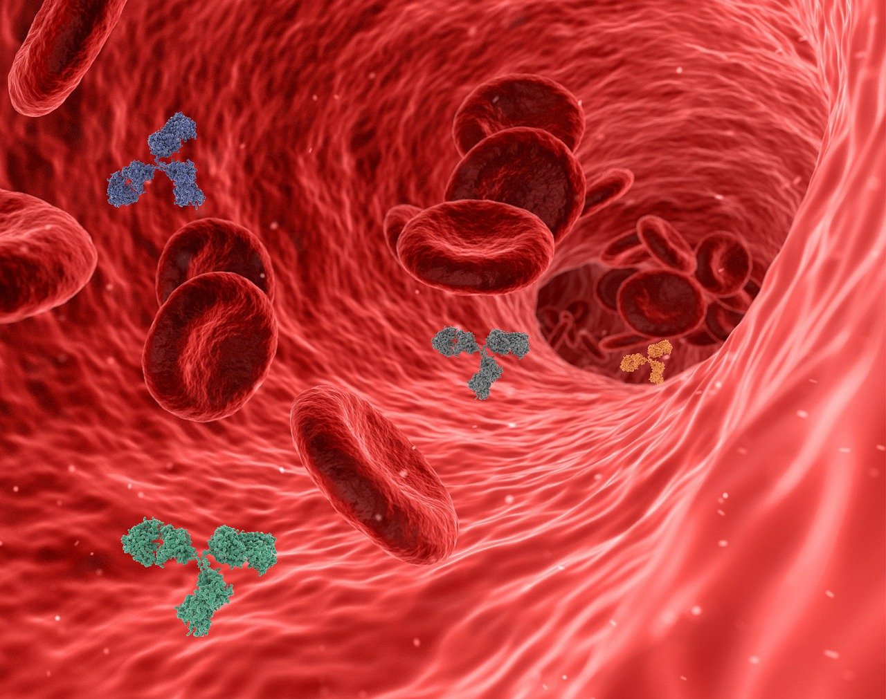 2021 ECIL建议：<font color="red">血液</font><font color="red">恶性</font><font color="red">肿瘤</font>或造血细胞移植患者COVID-19 的管理