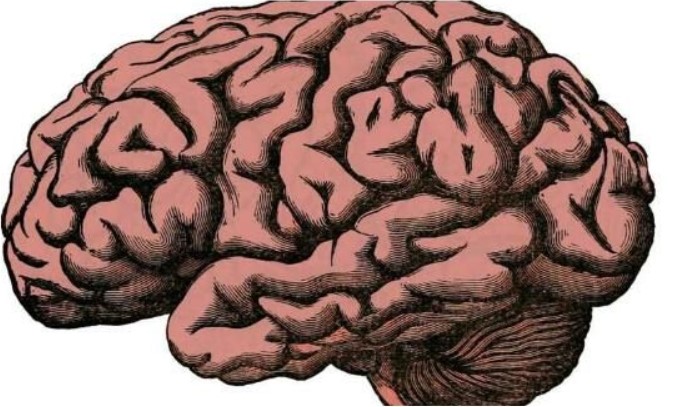 Mol Psychiatry：外周炎症也能入脑！通过检测外周可以预测老年痴呆风险