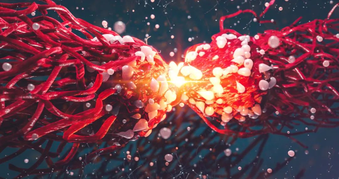 Nature Biotechnology：深度视觉<font color="red">蛋白质</font>组学：对单个癌细胞空间表征，发现癌症治疗新靶点
