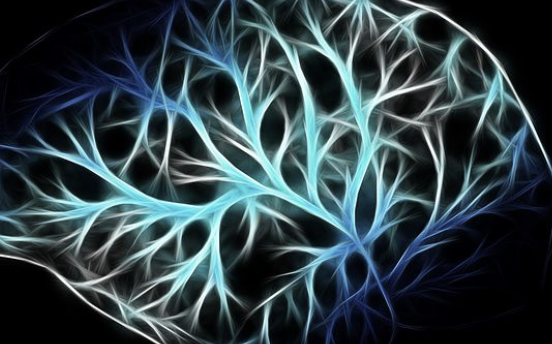 脑死亡或可逆？Nature：科学家成功复活供体器官的神经元细胞