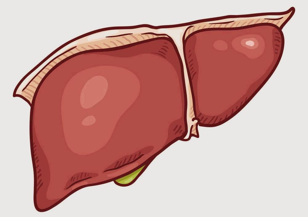 2022 ASCO：转移性肝内胆管癌合并肝外疾病患者的局部放射治疗可保护肝功能