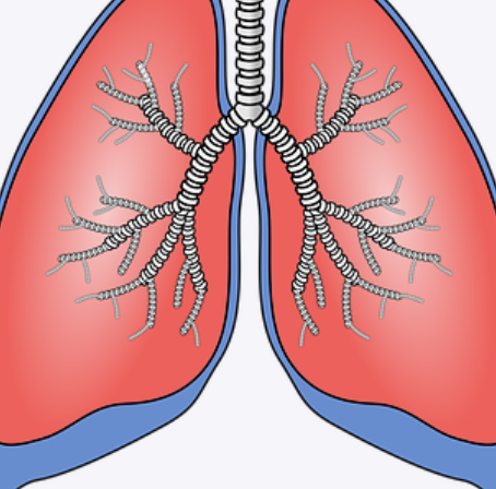 ASCO 2022 | 肺癌<font color="red">放疗</font>后并发房颤的风险因素研究