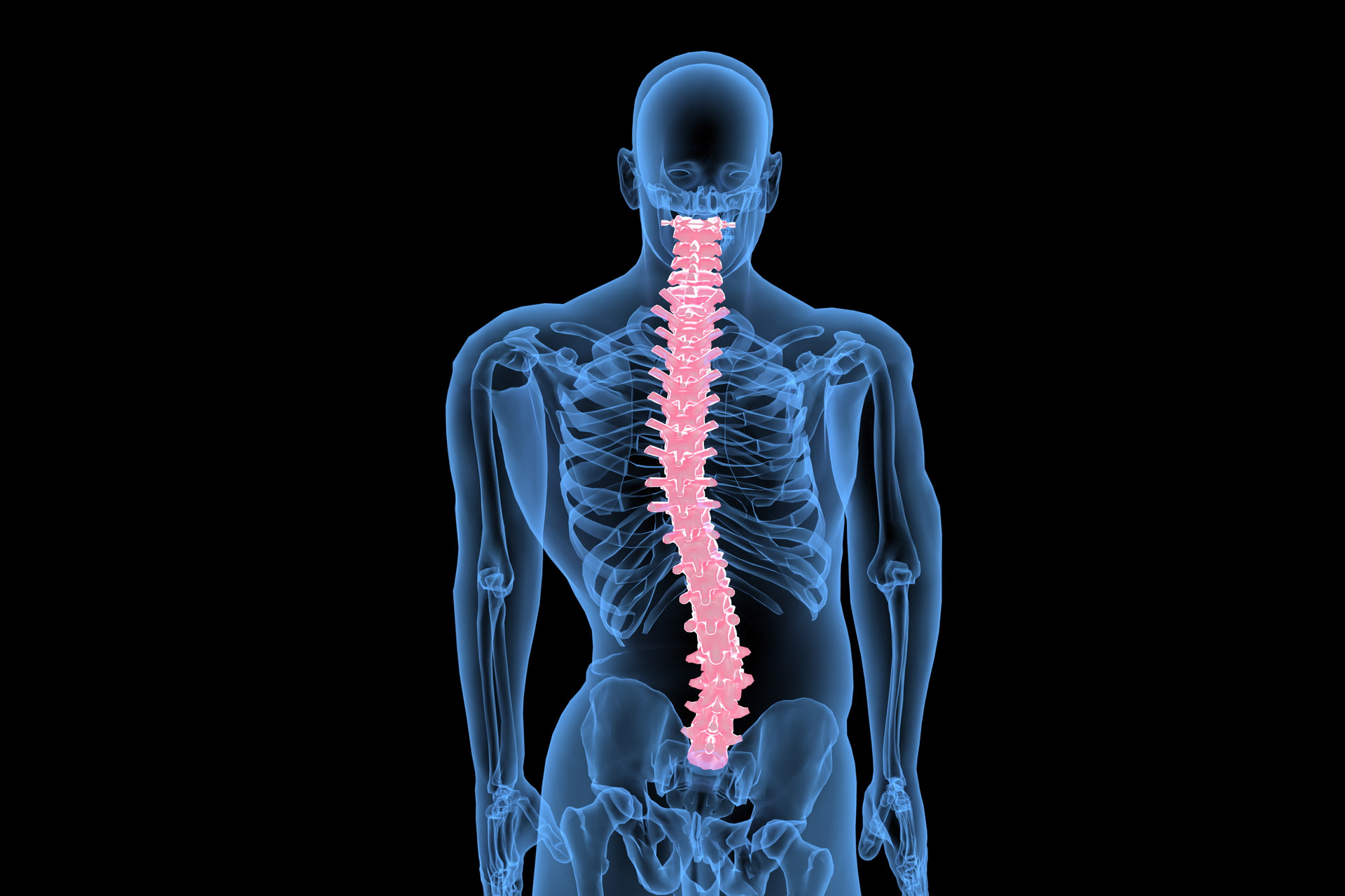 European Radiology：骶椎腰化和腰椎骶化究竟如何区分？