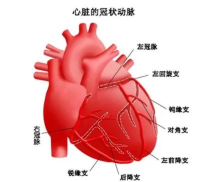 Cardiovasc Diabetol：甘油三<font color="red">酯</font>葡萄糖指数可指数冠心病患者冠状动脉病变的严重程度
