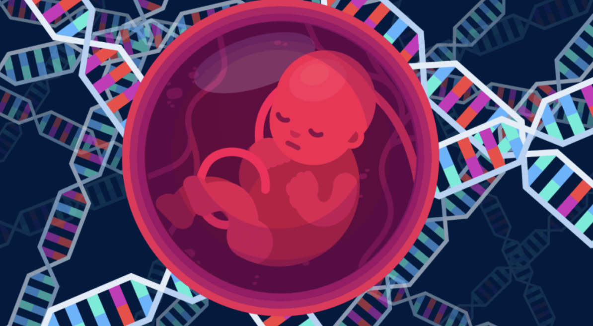 子宫移植临床试验完整结果发布，成功<font color="red">诞</font>下健康婴儿