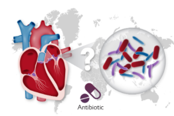 欧洲心脏杂志:细菌培养阴性和阳性的感染性心内膜炎患者预后的比较