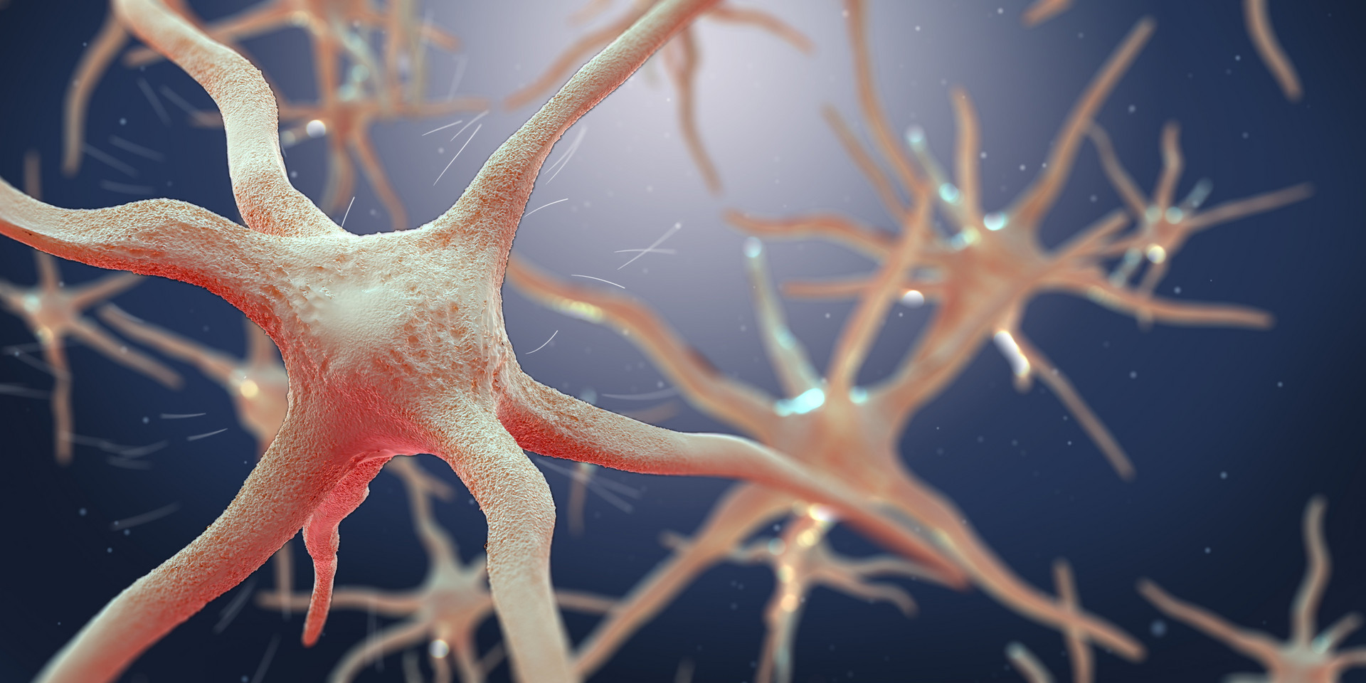 【Cell子刊】发现脑损伤后的<font color="red">修复机制</font>——神经元和神经胶质协同驱动神经再生！