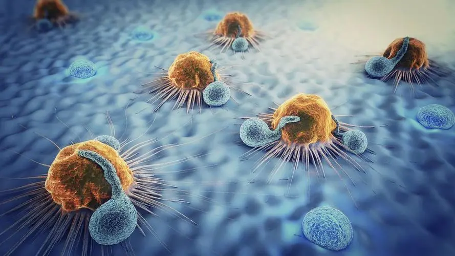 JAMA Netw open：转移性肾细胞癌患者“免疫-肿瘤联合治疗”后的影像学反应