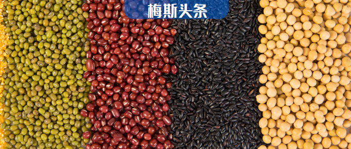 7万中国人研究揭示：食用<font color="red">豆类</font>与尿酸升高有关，但吃肉不影响！