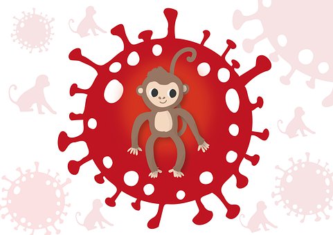 2022 WHO 临时<font color="red">快速</font>反应指南：猴痘的临床管理和感染预防和控制