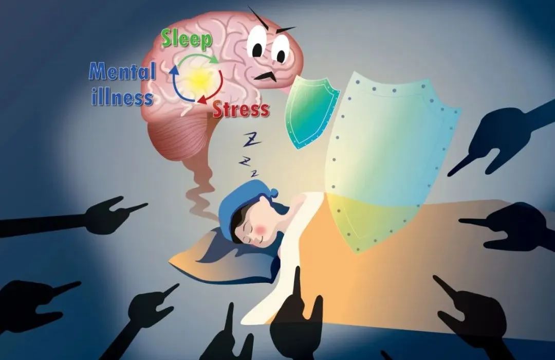 Science：董海龙团队等揭示压力会诱导睡眠，从而减轻焦虑