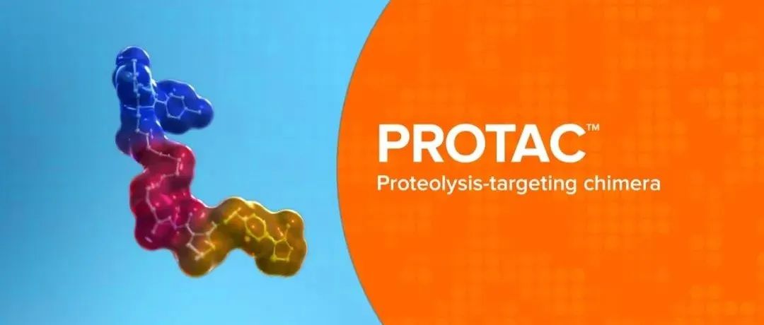 Nature Biotechnology：调控蛋白质稳态，司龙龙团队建立PROTAC减毒疫苗新策略